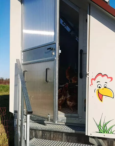 La Ferme de Piamot, oeuf Bio