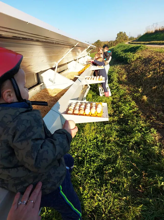 Photo d'une famille qui récupère les oeufs directement depuis le poulailler mobile de la Ferme Piamot à Genay